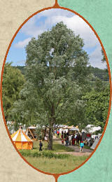 Niedernhausen 2010